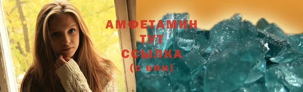 прущие грибы Михайловск