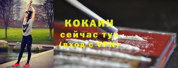 прущие грибы Михайловск